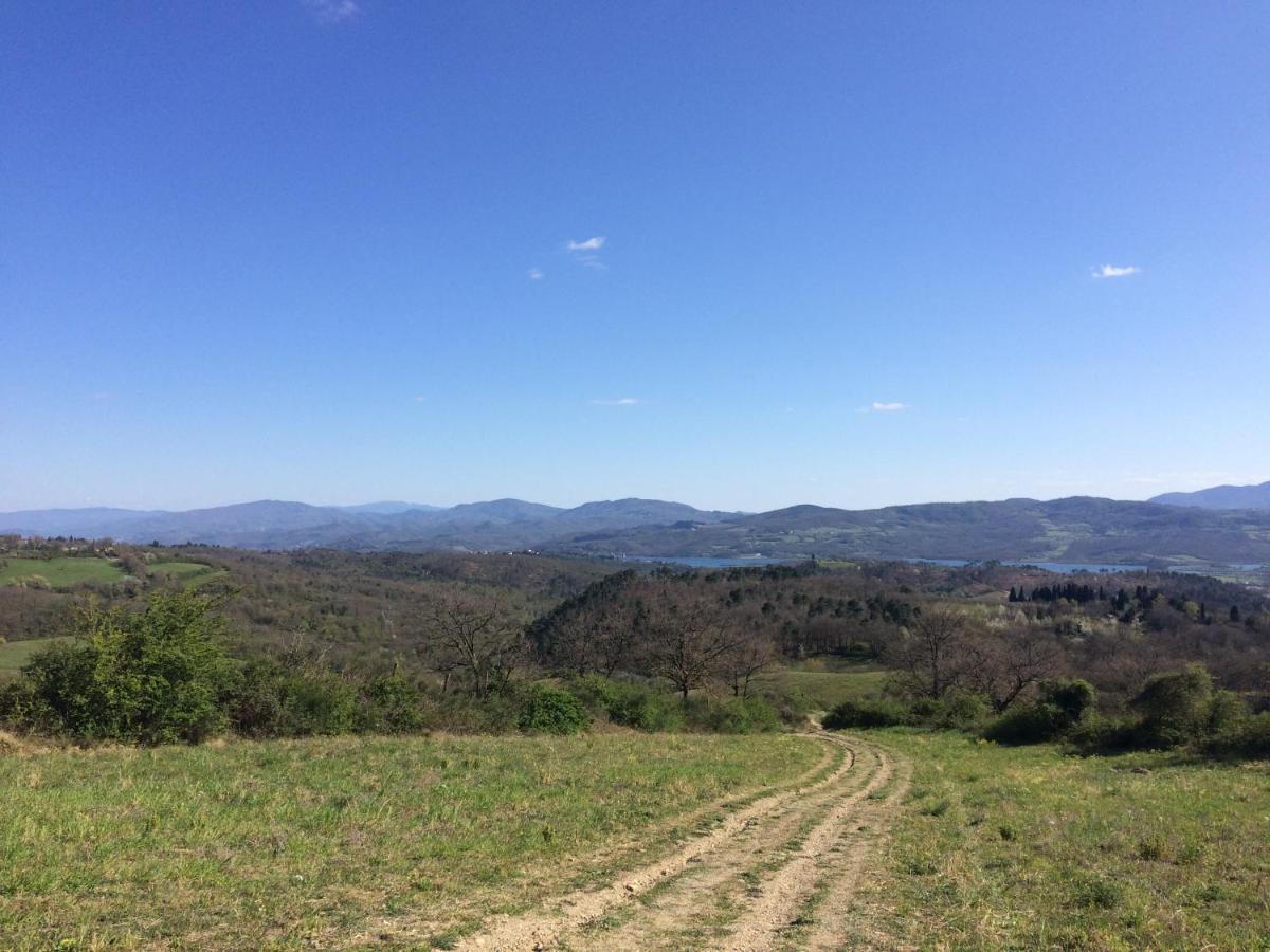 ברברינו די מוג'לו Agriturismo Corzano מראה חיצוני תמונה